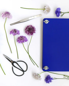 FLOWER PRESS KIT