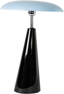 außergewöhnliche vasen XGZY Einzigartige herzförmige Vase: Set mit 2 schwarzen und weißen herzförmigen für Heimdekoration, minimalistische, moderne LED Akku Wandleuchte XENA